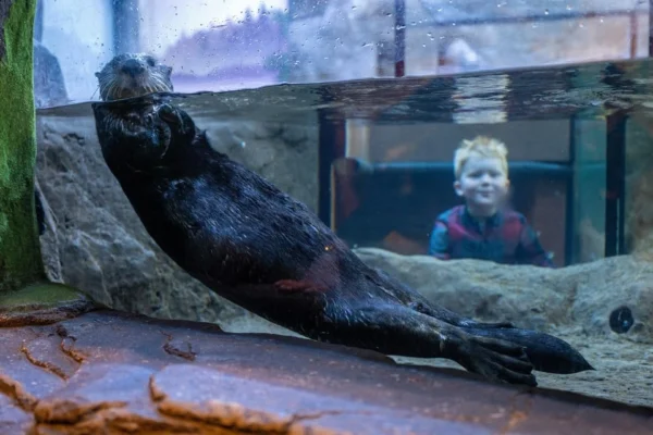 National Sea Life Centre Entrance Ticket