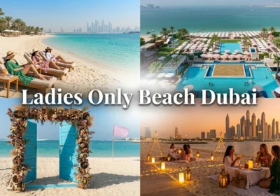 Ladies Only Beach Dubai: 2026 Guide to Women-Only Beaches Timings Prices & Rules